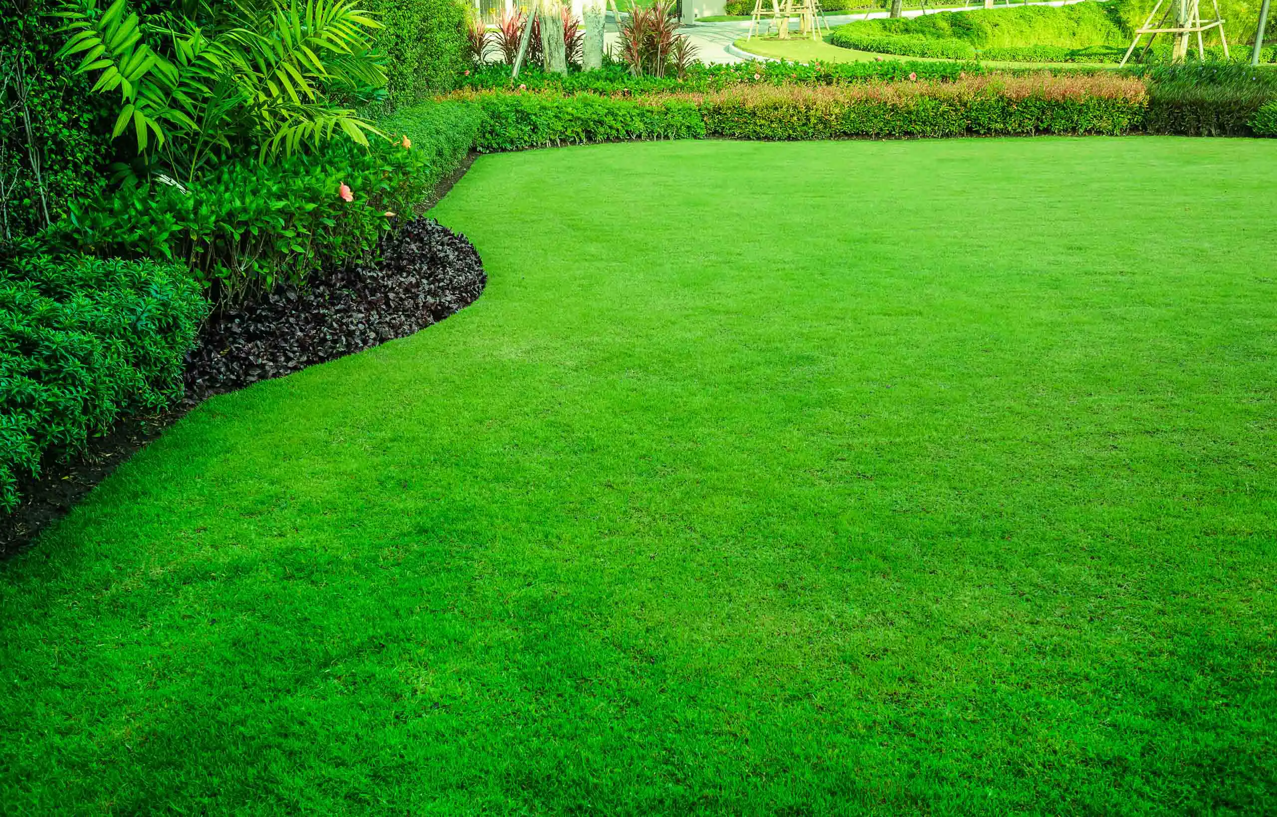 brookway-landscape-irrigation-10 A neatly manicured green lawn with curved edges, bordered by various shrubs and plants, in a landscaped garden setting.